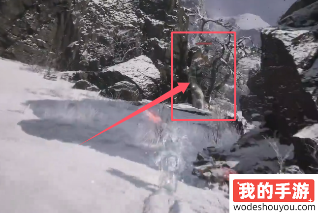 黑神话悟空地莲种子怎么获得(图3)