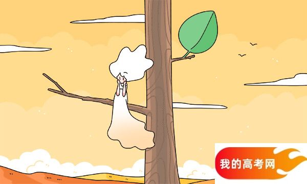 2025全国林业类大学排行榜【校友会版】 最新排名名单