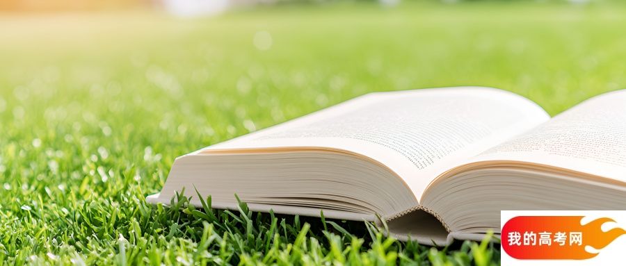 湖北省二本大学一览表！附2024年录取分数线、最新排名