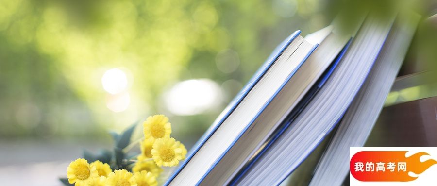 湖南省专科大学一览表！附2024年录取分数线、最新排名