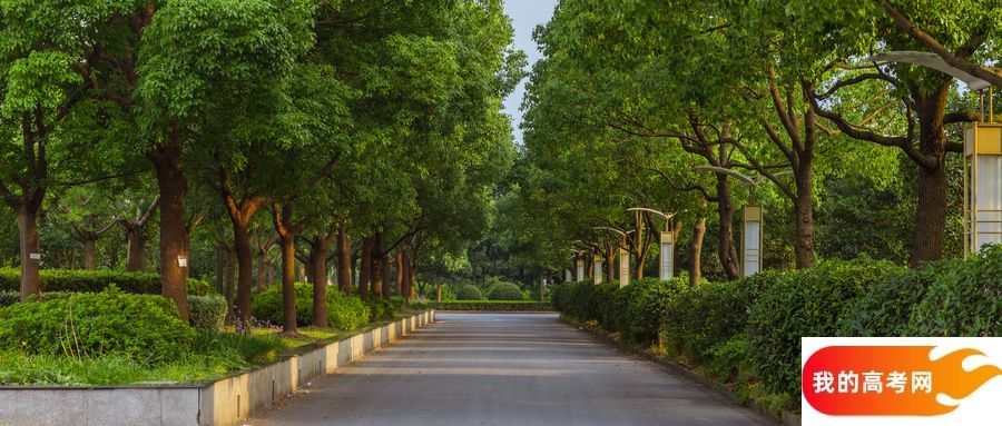 浙江省公办专科大学名单一览表（最新完整版名单，2025年参考）