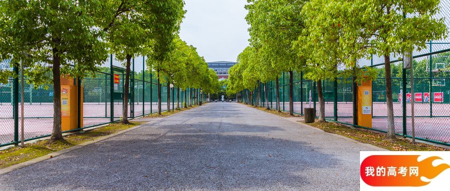 430到470分的二本公办大学介绍(2025年高考必看)(图3) 430到470分的二本公办大学介绍(2025年高考必看)(图3)