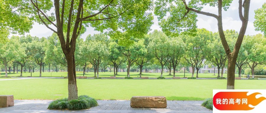 430到470分的二本公办大学介绍(2025年高考必看)(图2) 430到470分的二本公办大学介绍(2025年高考必看)(图2)