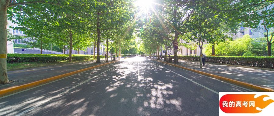 广西考警校需要多少分？本科警校录取分数线及名单（2025参考）