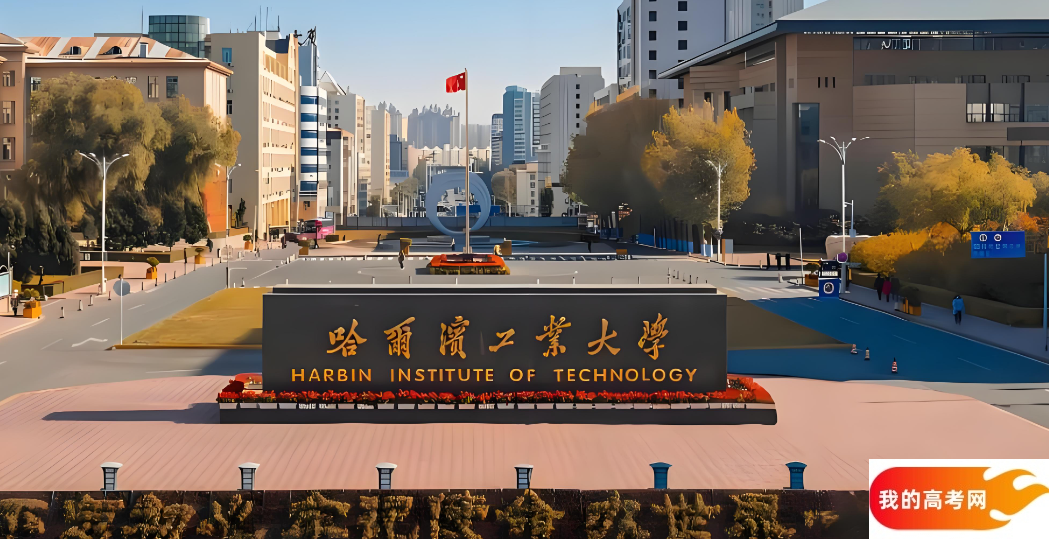 黑龙江省211大学排名及分数线汇总（2025年最新榜单）