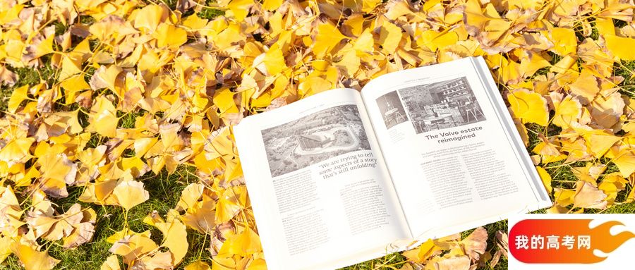 2025广东省排名前十的专科大学！值得上的专科大学分数线