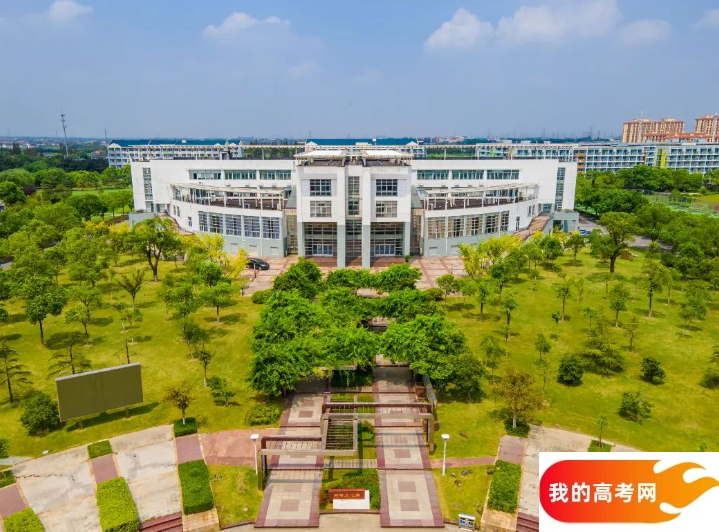 2025上海市排名前十的专科大学!值得上的专科大学分数线(图3) 2025上海市排名前十的专科大学!值得上的专科大学分数线(图3)