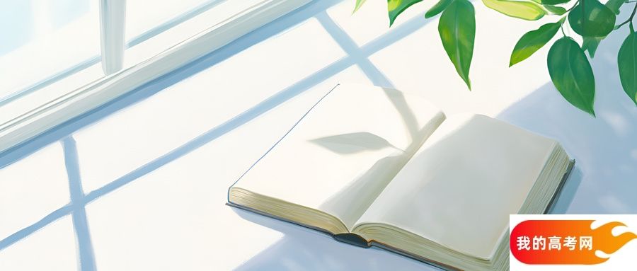 江苏2024公办大专分数线:附省内专科大学排名一览表