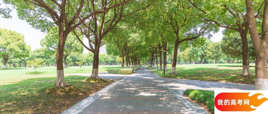 2025天津市排名前二的师范大学！值得上的师范大学分数线