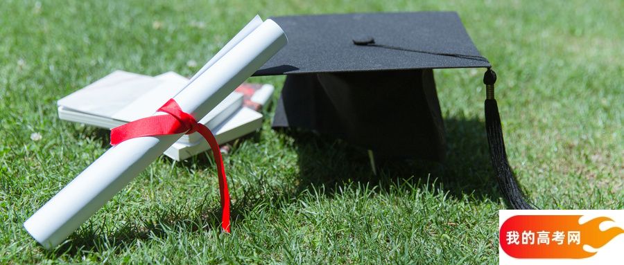 合肥所有大学排名及录取分数线一览表(含位次,2025参考)