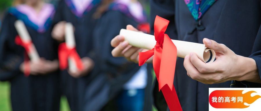 郑州所有大学排名及录取分数线一览表(含位次,2025参考)