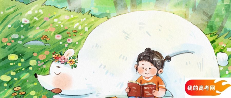 四川所有大学排名及录取分数线一览表(含位次,2025参考)