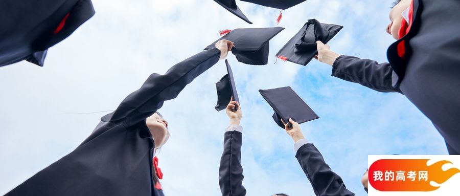 山东所有大学排名及录取分数线一览表（含位次，2025参考）