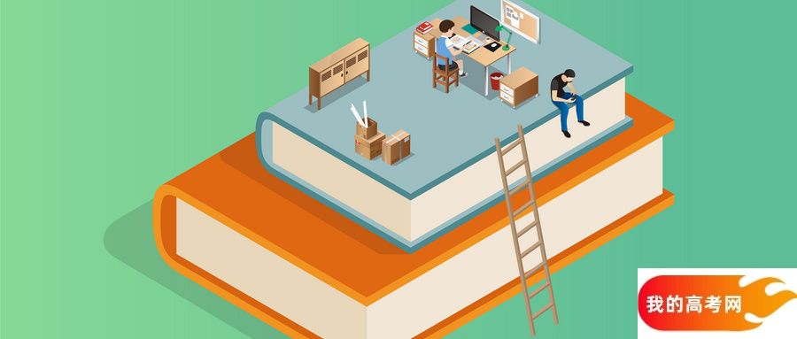 新疆所有大学排名及录取分数线一览表（含位次，2025参考）