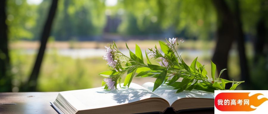 2024福建省排名前三的医科大学！含最好最值得上的医科大学分数线