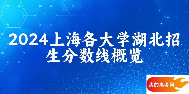 2024上海各大学湖北招生分数线概览：含本科批、本科提前批