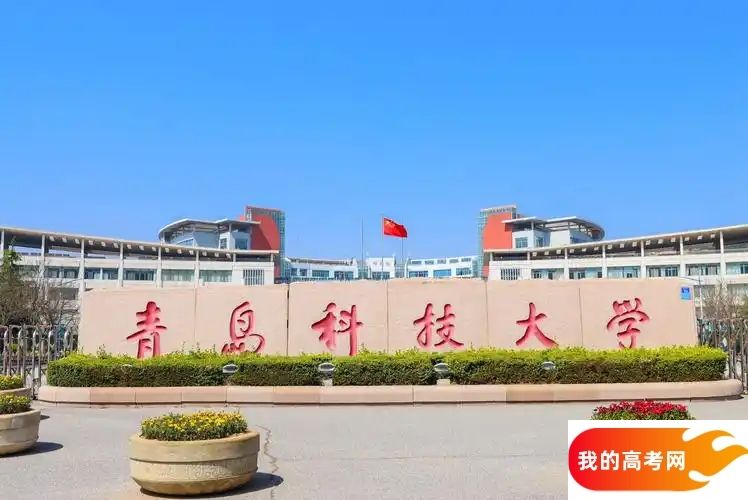 山东理工类大学排名及分数线一览表（2025参考）(图3)