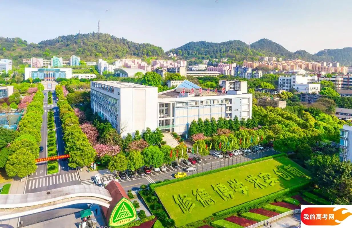 重庆理工类大学排名及分数线一览表(2025参考)