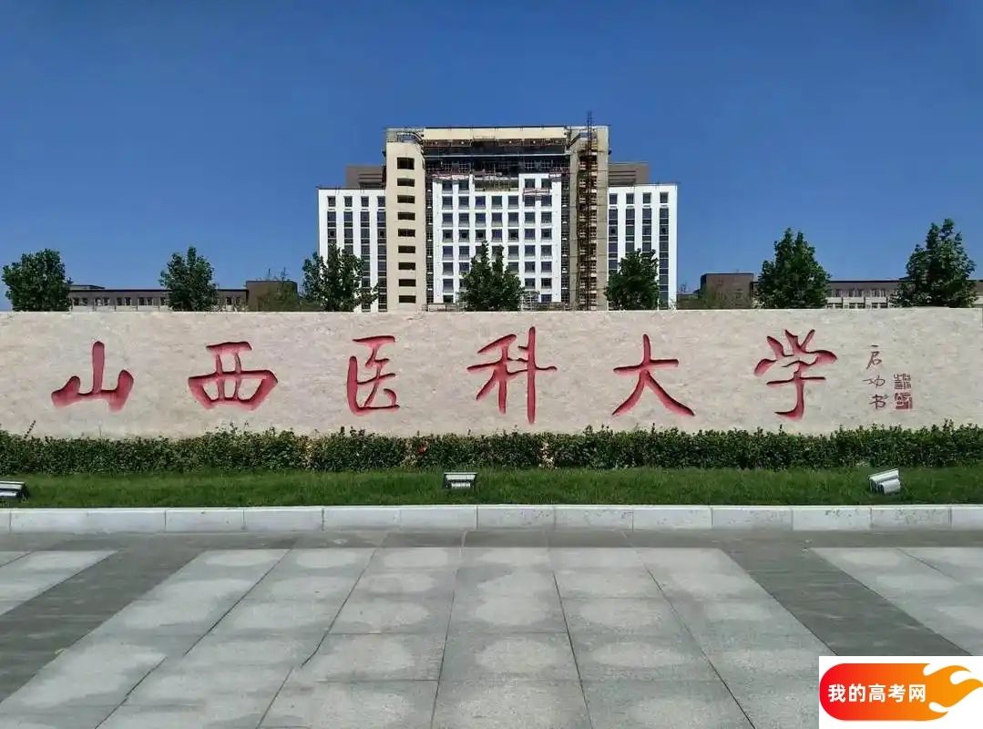 山西医药类大学排名及分数线一览表(2025参考)