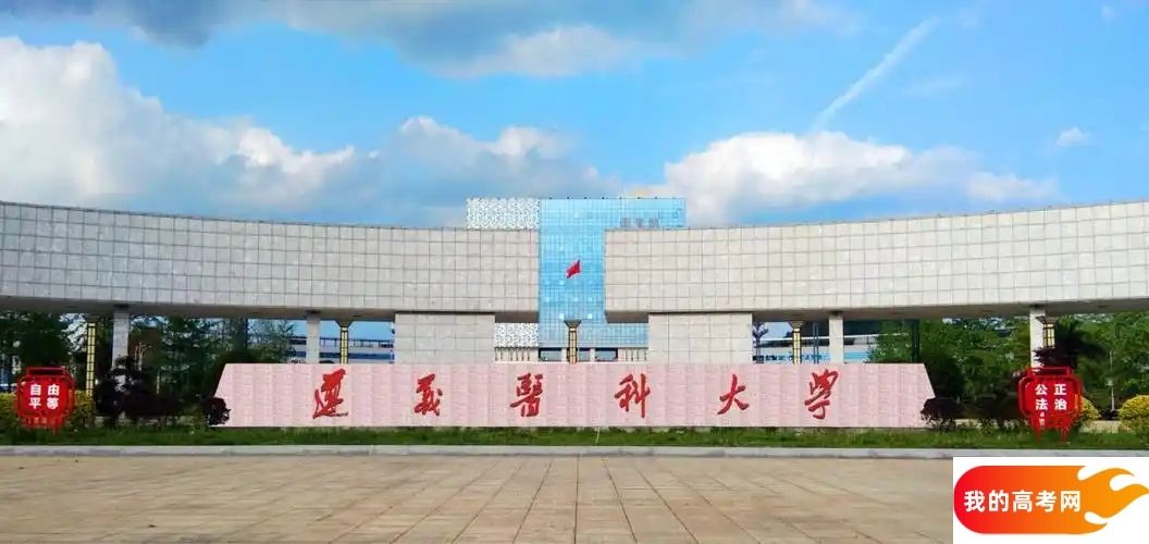 昆明市医药类大学排名及分数线一览表（2025参考）