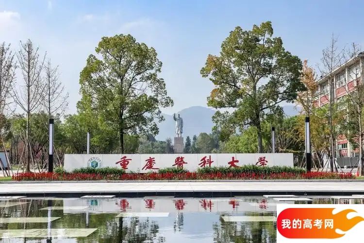重庆医药类大学排名及分数线一览表（2025参考）