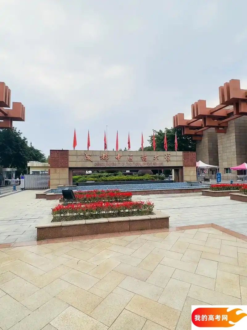 四川医药类大学排名及分数线一览表（2025参考）