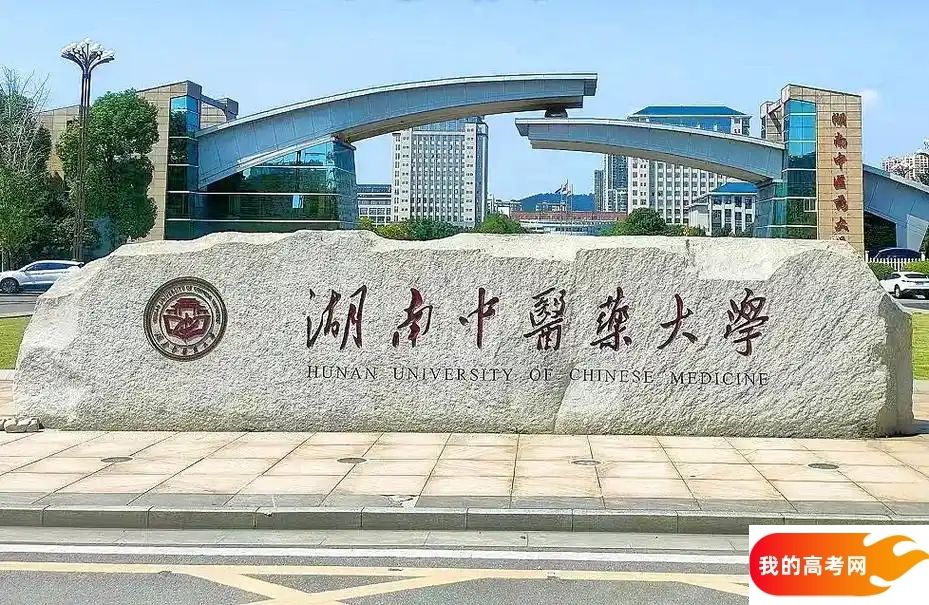 湖南医药类大学排名及分数线一览表（2025参考）