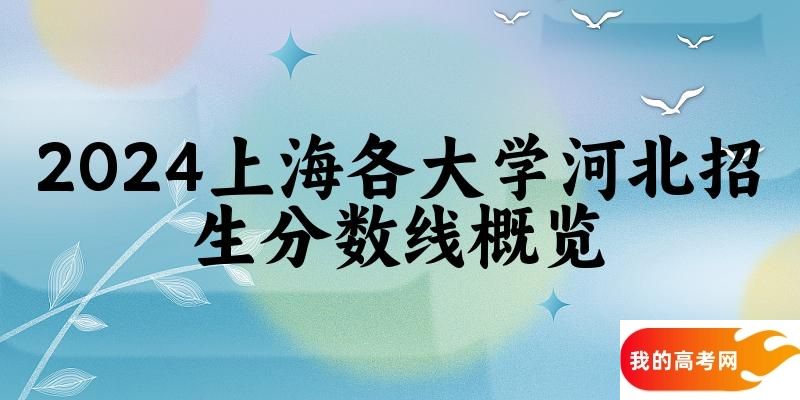 2024上海各大学河北招生分数线概览