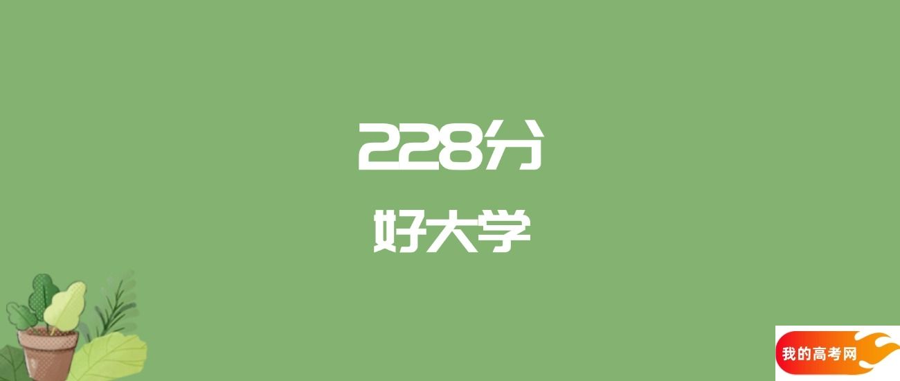 228分能上什么大学?附公办专科大学名单(2025高考)