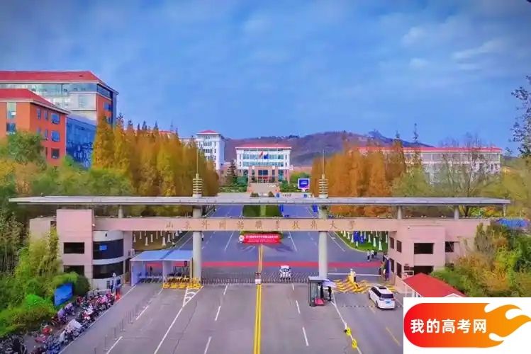 专科线最低的语言类大学：低分可上的语言类院校推荐（2025参考）(图2)