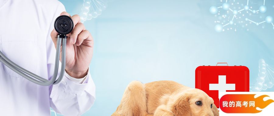 专科线最低的医药类大学:低分可上的医药类院校推荐(2025参考)(图2) 专科线最低的医药类大学:低分可上的医药类院校推荐(2025参考)(图2)