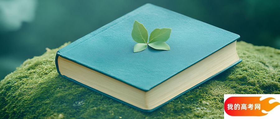 2025年二本线最低的师范类大学:具体录取分数线是多少?(图2) 2025年二本线最低的师范类大学:具体录取分数线是多少?(图2)