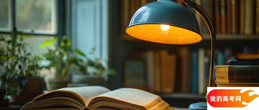 2025年二本线最低的政法类大学:具体录取分数线是多少?(图2) 2025年二本线最低的政法类大学:具体录取分数线是多少?(图2)