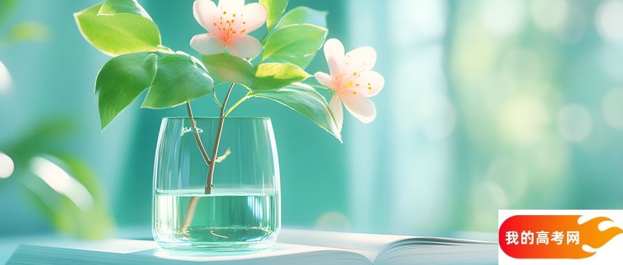 2025年二本线最低的财经类大学:具体录取分数线是多少?(图2) 2025年二本线最低的财经类大学:具体录取分数线是多少?(图2)