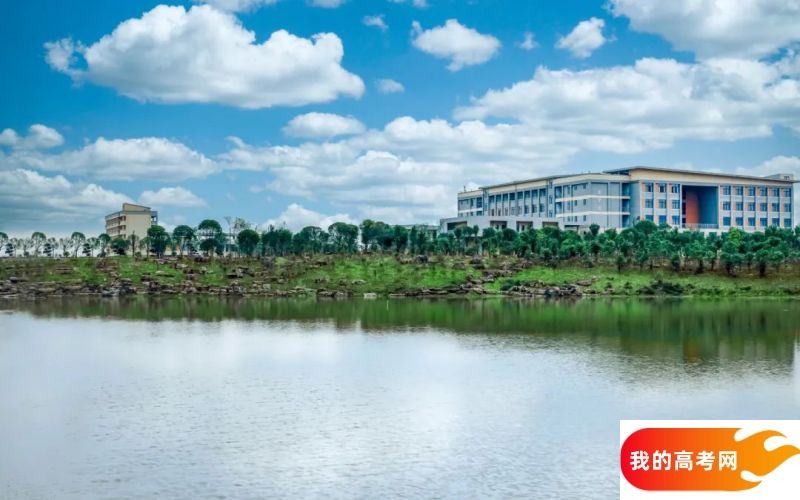 东北师范大学2024年在河南录取分数线、对应位次(附近几年最低录取分数线及位次排名)
