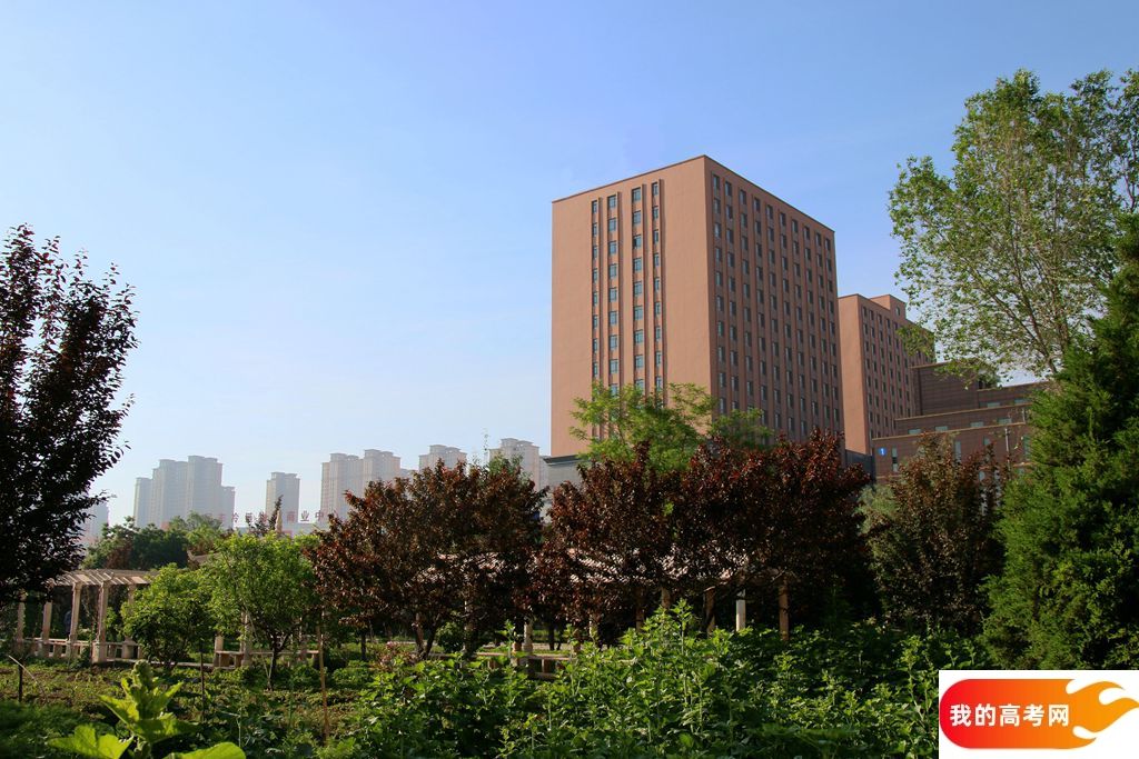 吉林科技职业技术学院2024年在河北录取分数线、对应位次(附近几年最低录取分数线及位次排名)