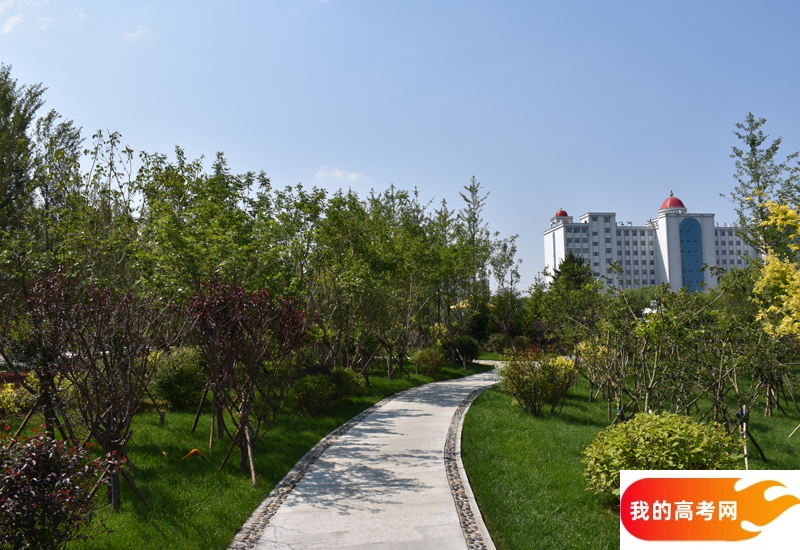 山西医科大学汾阳学院2024年在河北录取分数线、对应位次（附近几年最低录取分数线及位次排名）
