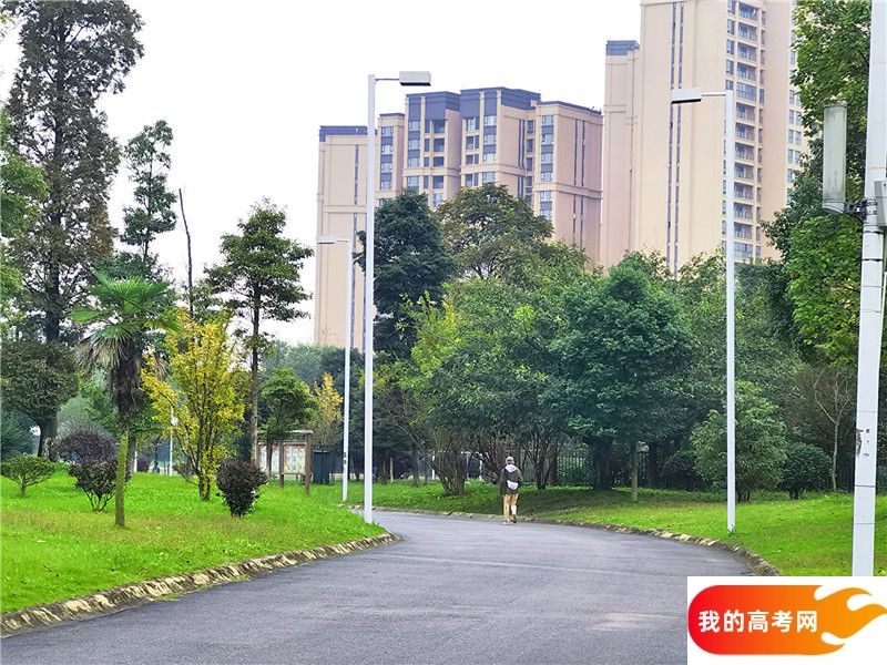 2024年浙江工商大学杭州商学院在四川录取分数线（附近几年最