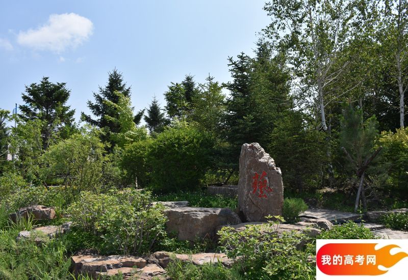 东北财经大学2024年在河北录取分数线、对应位次（附近几年最
