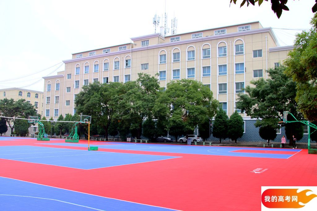 东华大学2024年在贵州录取分数线、对应位次(附近几年最低录取分数线及位次排名)