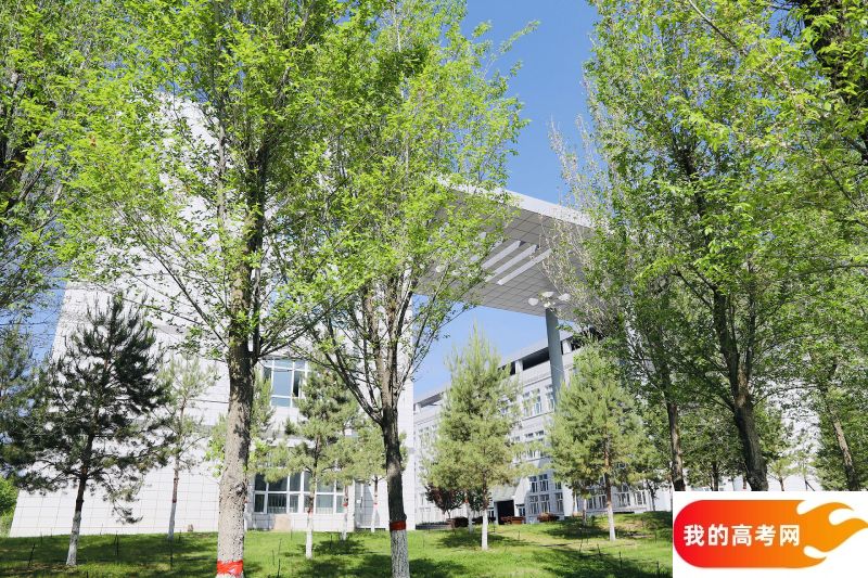 南京财经大学2024年在河北各专业录取分数线(附院校录取分数线录取位次)