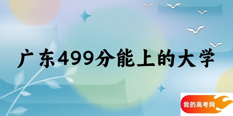 广东高考499分能上的大学有哪些？有哪些专业可选 (2025考生参考)