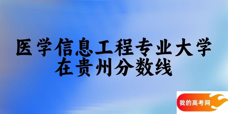 2024医学信息工程专业贵州录取分数线多少分 附专业就业方向 (2025参考)