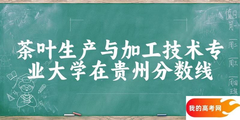 2024茶叶生产与加工技术专业贵州录取分数线多少分 附专业就业方向 (2025参考)
