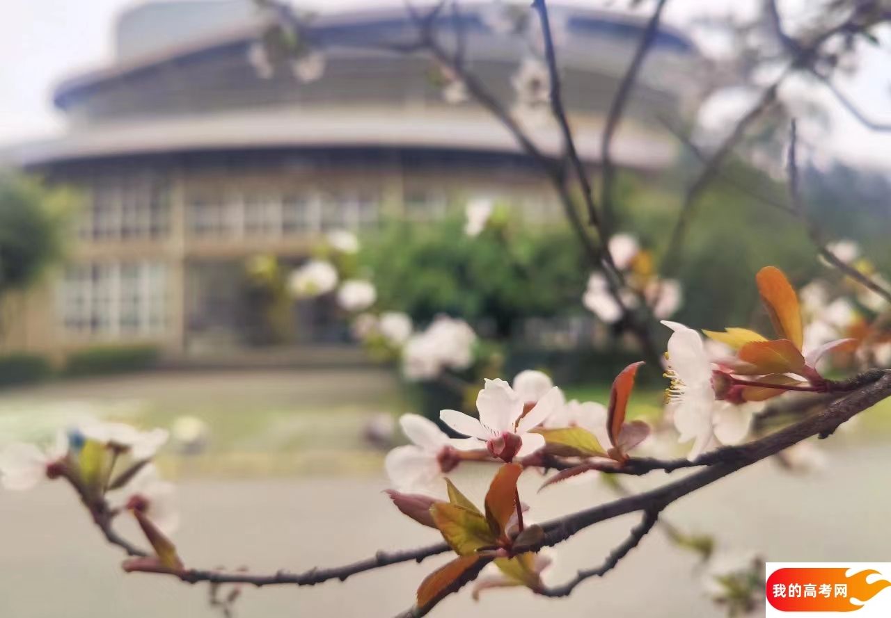 北京师范大学2024年在辽宁各专业录取分数线(附院校录取分数线录取位次)