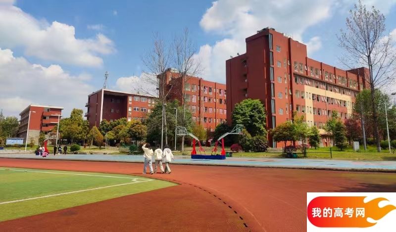 哈尔滨工程大学2024年在四川录取分数线、对应位次（附近几年