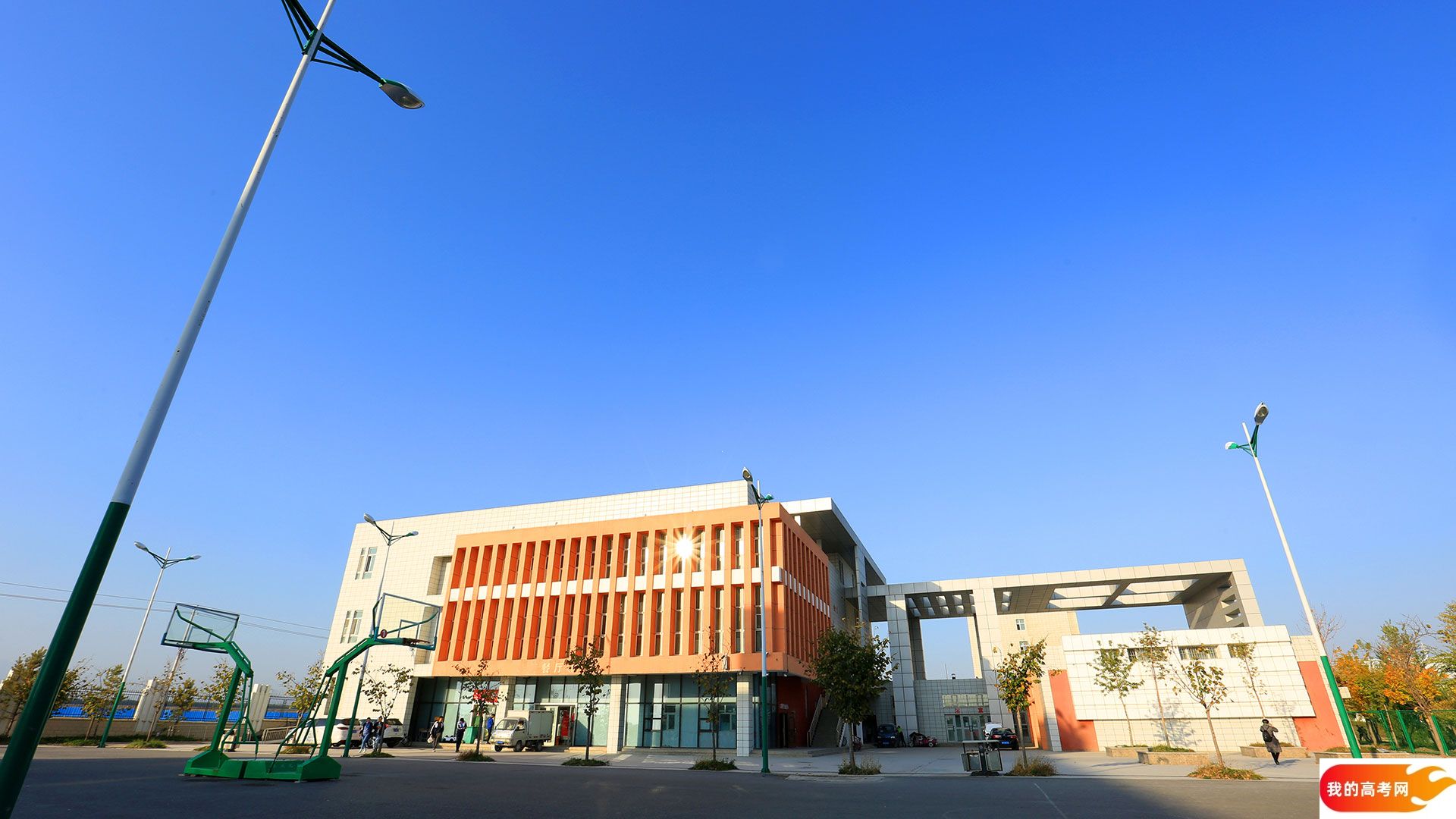 大连医科大学中山学院2024年在辽宁各专业录取分数线（附院校