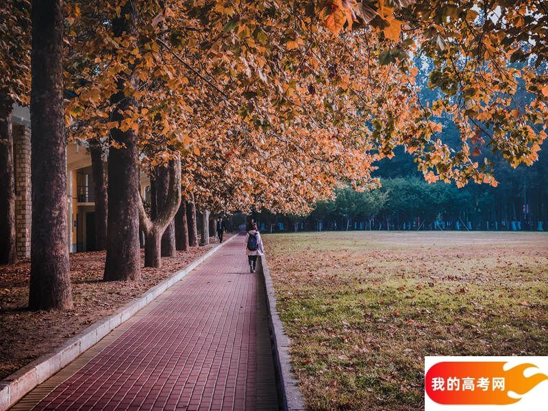 吉林农业大学2024年在安徽录取分数线、对应位次(附近几年最低录取分数线及位次排名)