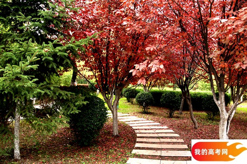 中山大学2024年在山西录取分数线、对应位次(附近几年最低录取分数线及位次排名)