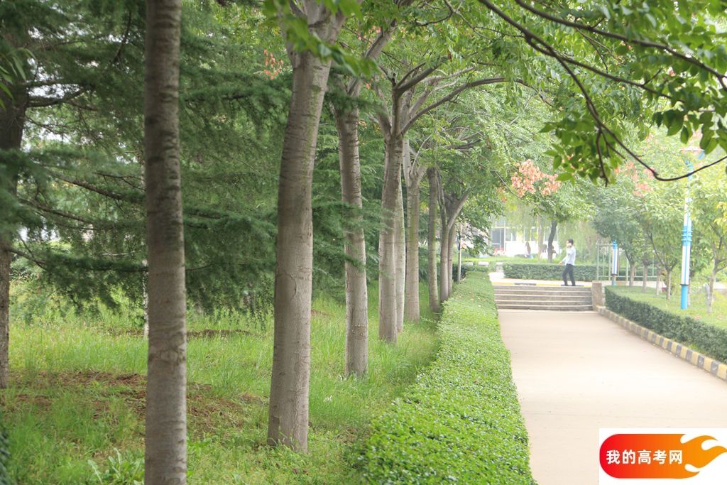北京林业大学2024年在河北录取分数线、对应位次(附近几年最低录取分数线及位次排名)